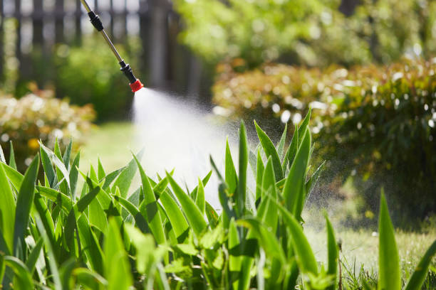 Tamper-Resistant Bait Stations for Rodents in Gladstone