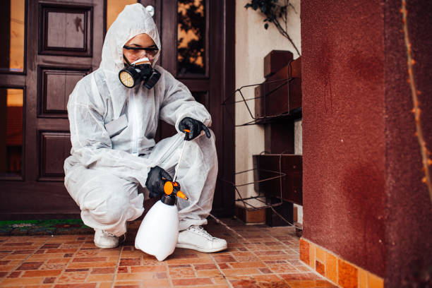 Attic and Crawl Space Rodent Treatment in Gladstone